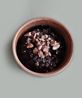 Dark Chocolate Mud Pie